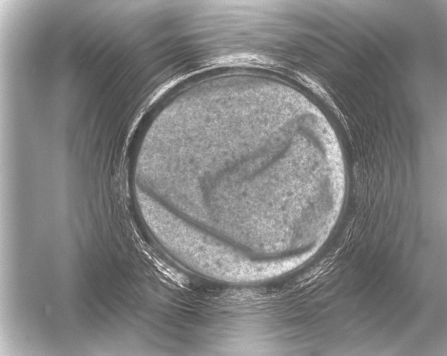 X0000051890931200507222012