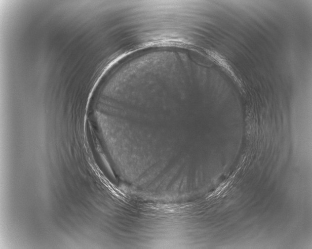 X0000051890932200507222012