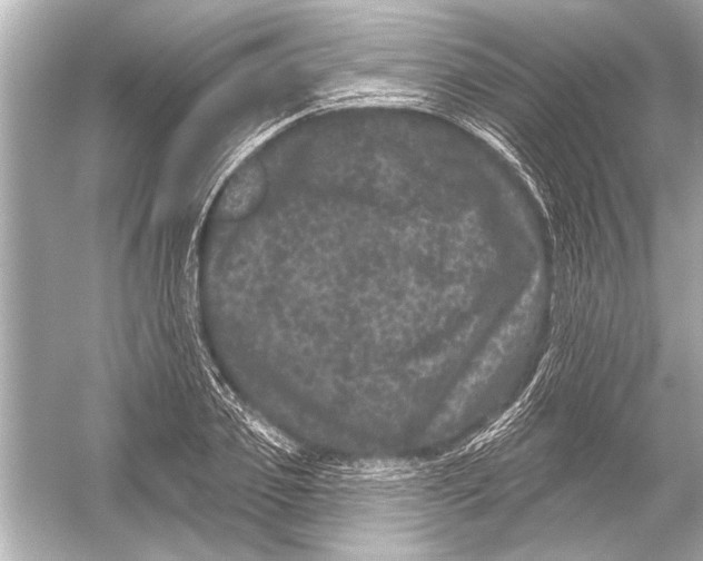 X0000051890933200507222012