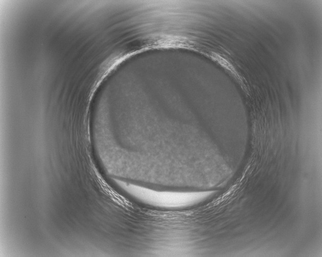 X0000051890934200507222012