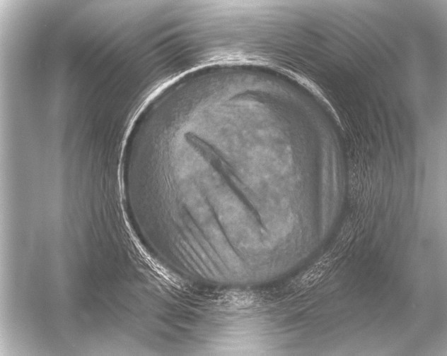 X0000051890935200507222012