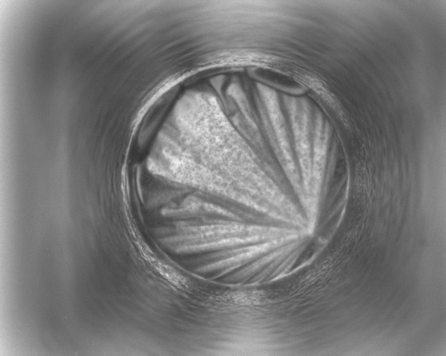 X0000051890936200507222012