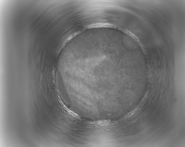 X0000051890937200507222012