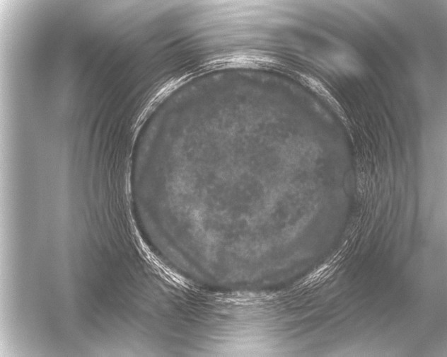 X0000051890938200507222012