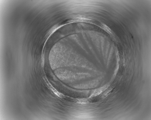 X0000051890940200507222012