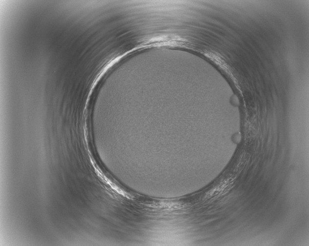 X0000051890941200507222012