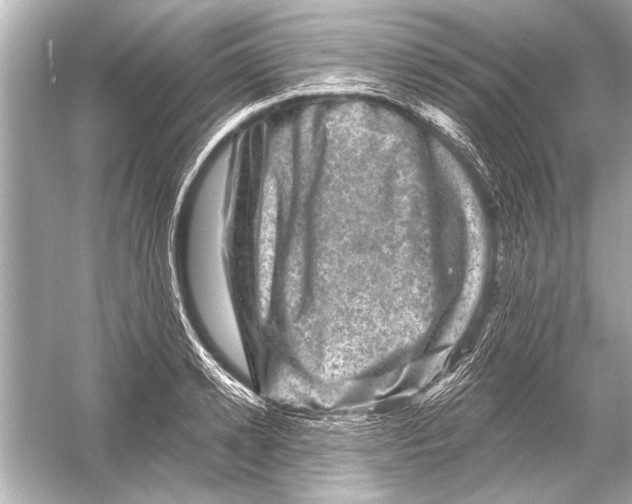 X0000051890942200507222012