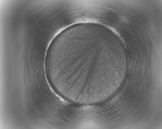 X0000051890943200507222012