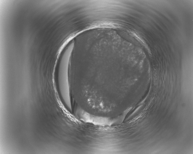 X0000051890944200507222012