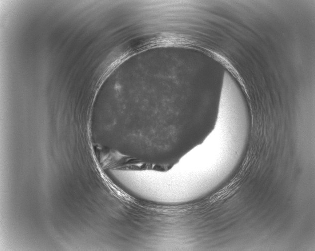 X0000051890946200507222012