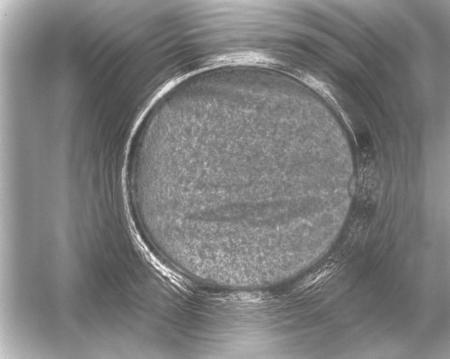 X0000051890947200507222012