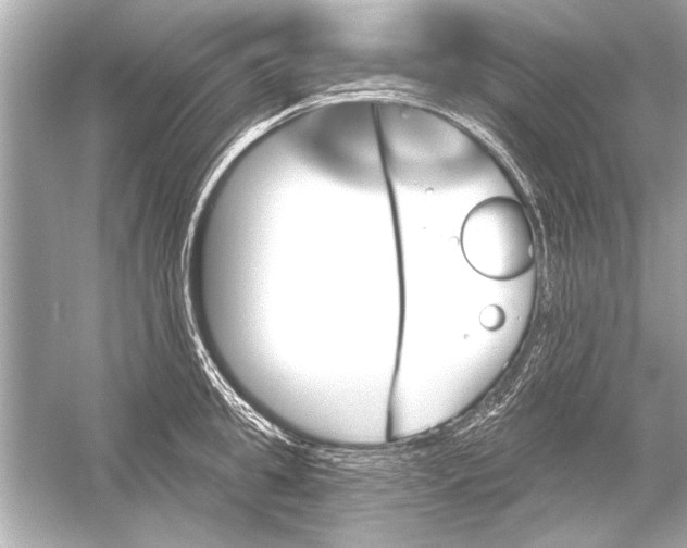 X0000051890949200507222012