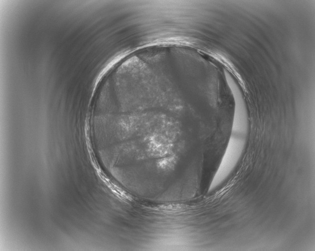 X0000051890952200507222012