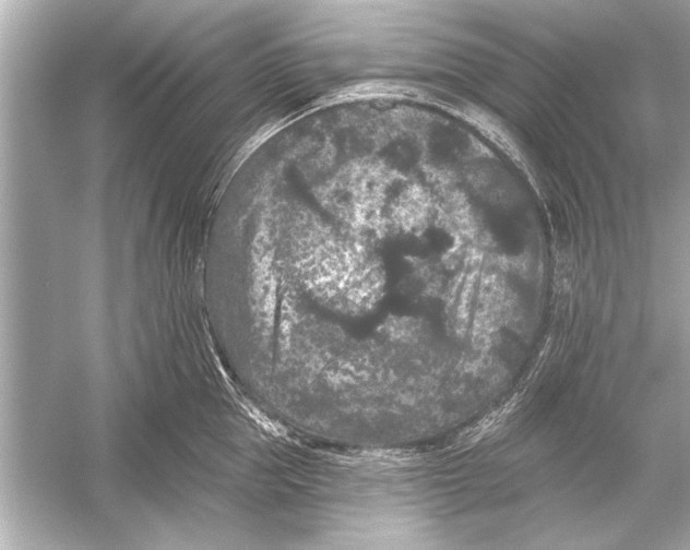 X0000051890953200507222012