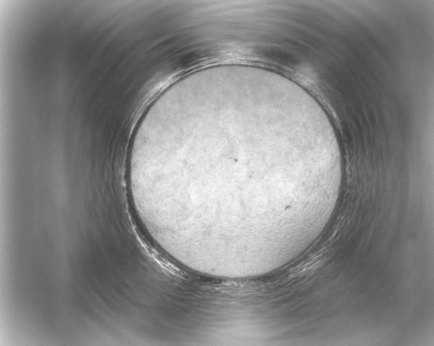 X0000051890954200507222012