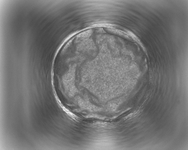 X0000051890955200507222012