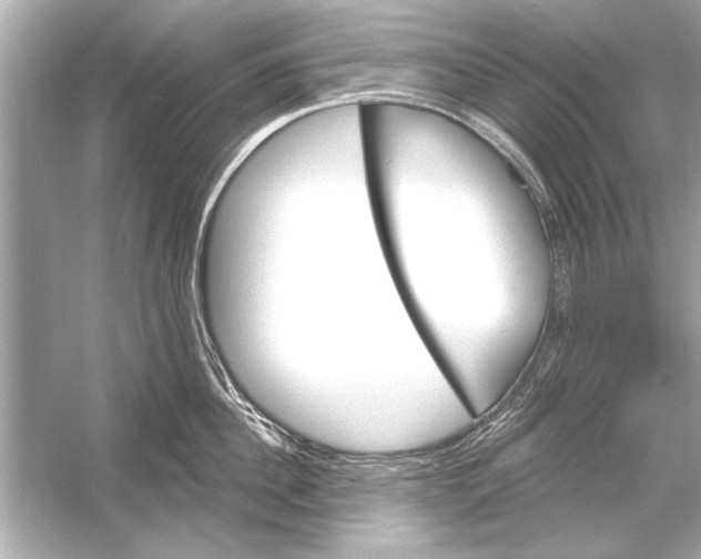 X0000051890956200507222012