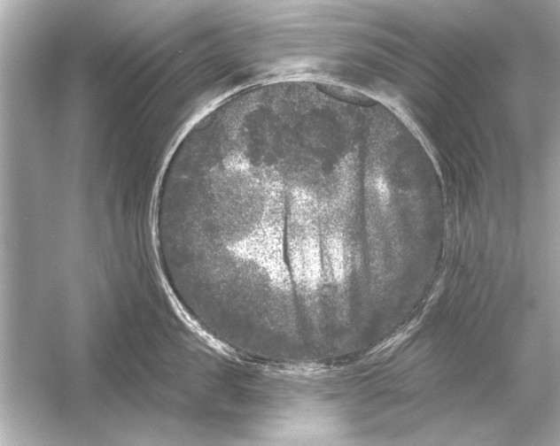 X0000051890957200507222012