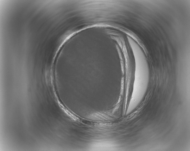 X0000051890958200507222012