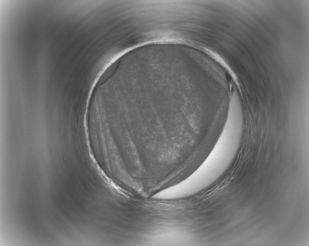 X0000051890959200507222012