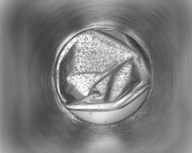 X0000051890960200507222012