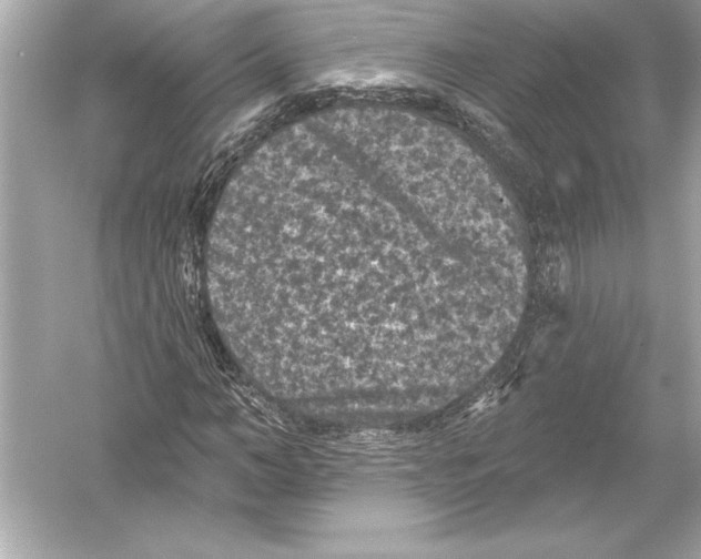 X0000051890966200507222011