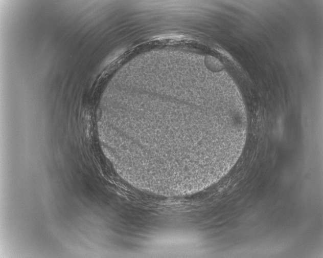 X0000051890967200507222011