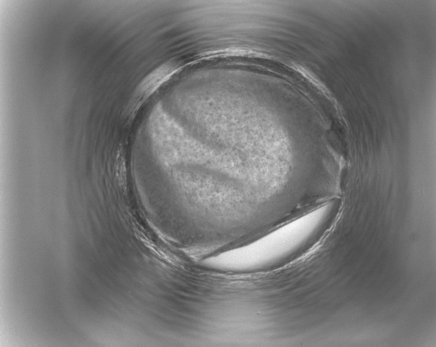 X0000051890969200507222011