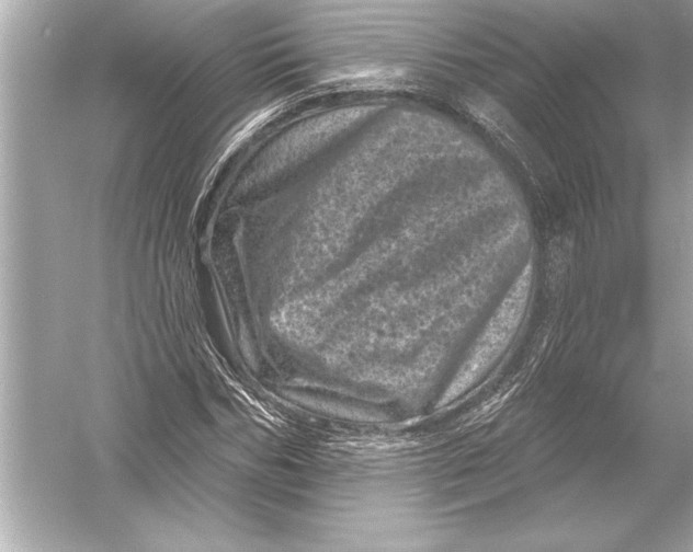 X0000051890970200507222011