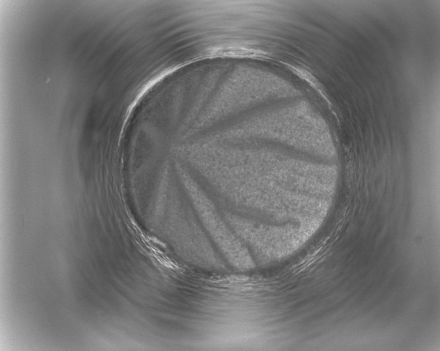 X0000051890971200507222011