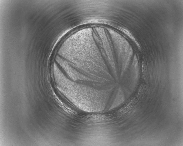 X0000051890972200507222011