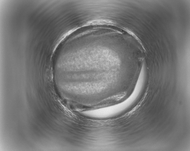 X0000051890973200507222011