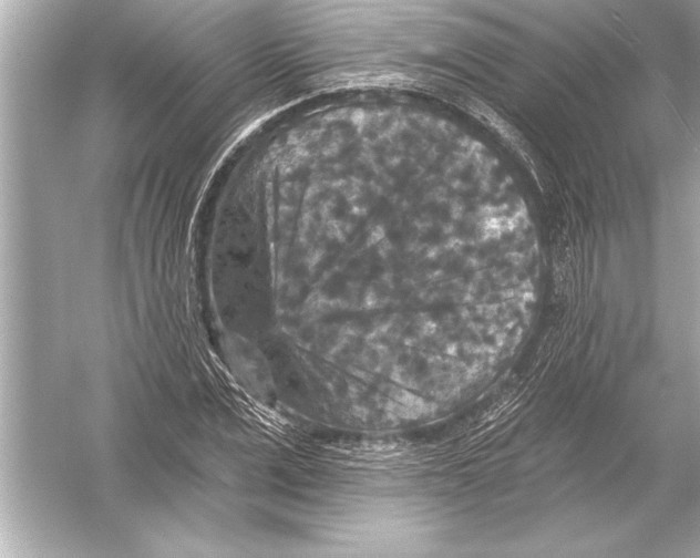 X0000051890975200507222011