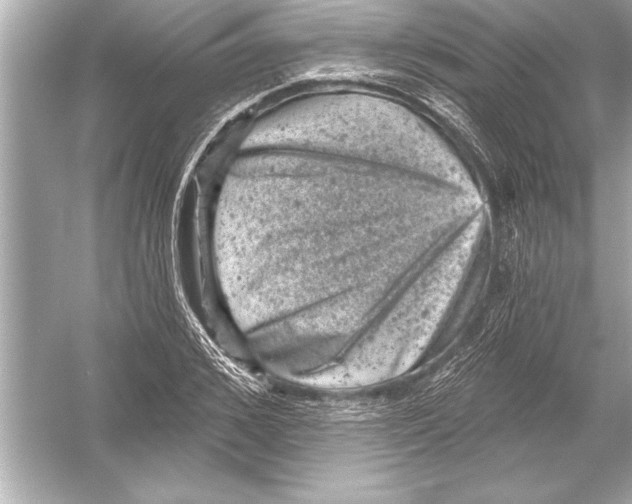 X0000051890976200507222011