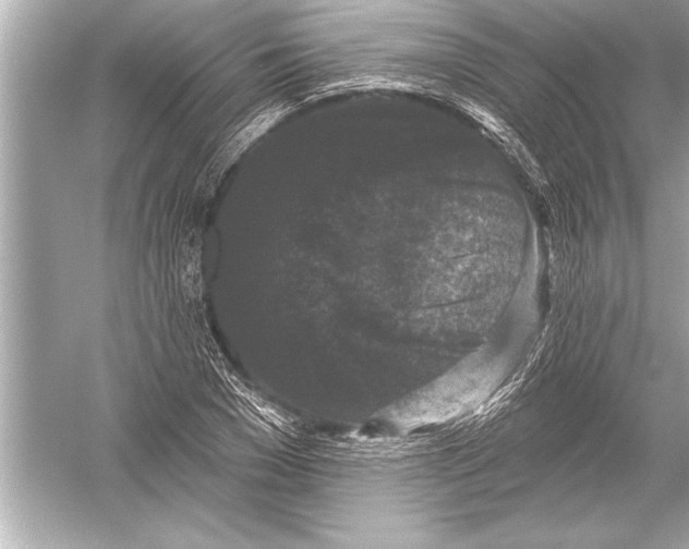 X0000051890977200507222011