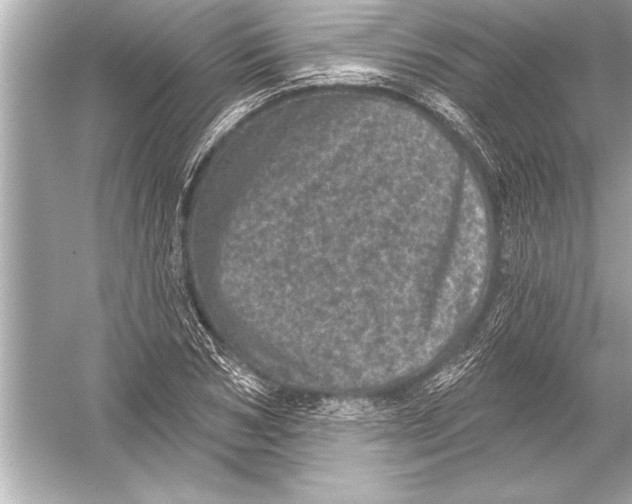 X0000051890978200507222011