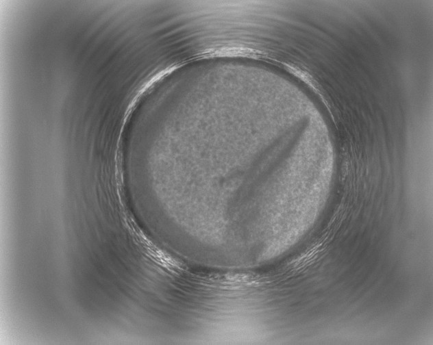 X0000051890979200507222011