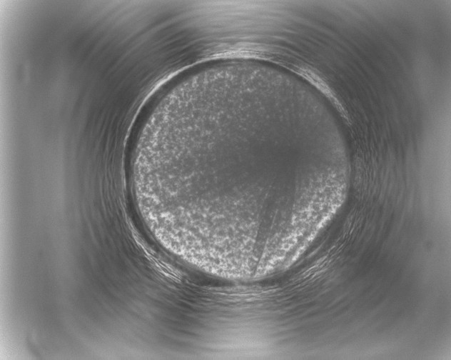 X0000051890980200507222011