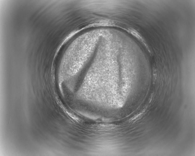 X0000051890981200507222011