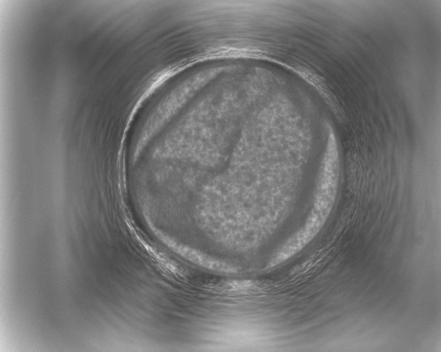 X0000051890982200507222011