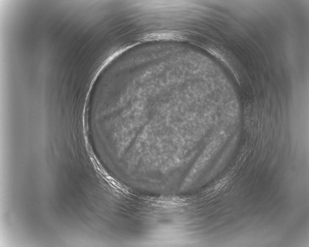 X0000051890983200507222011