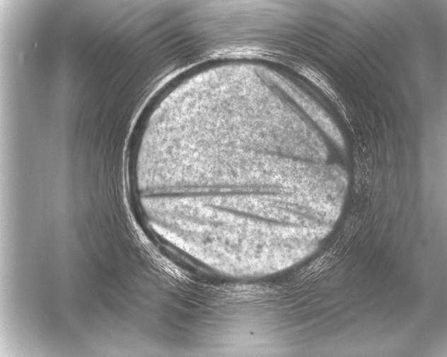 X0000051890984200507222011