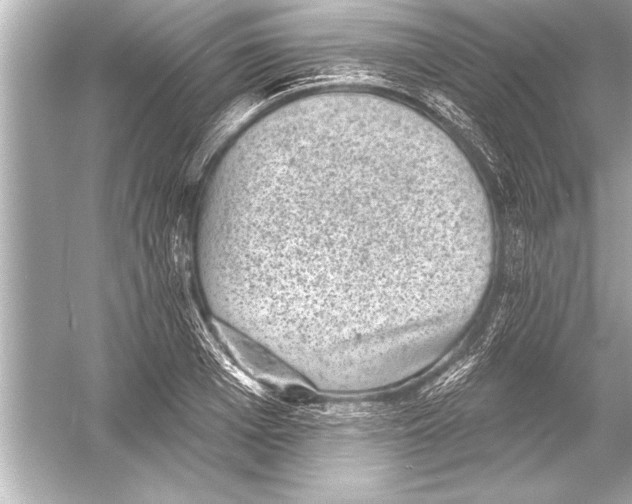 X0000051890985200507222011