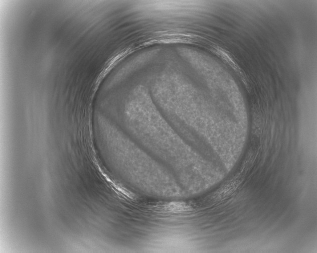 X0000051890986200507222011