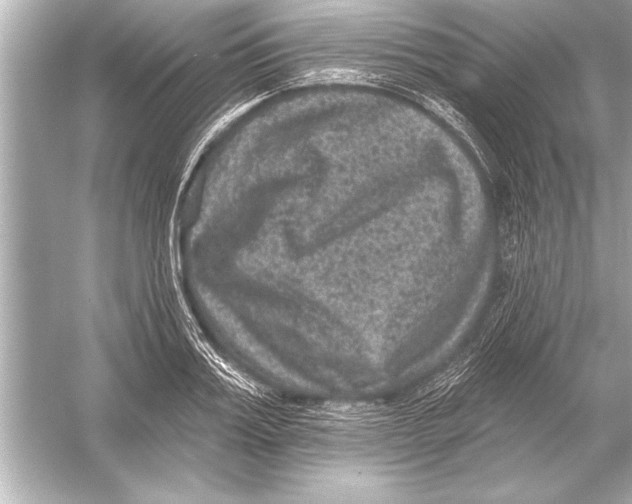 X0000051890987200507222011