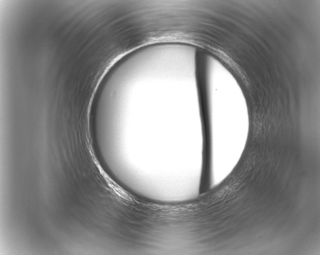 X0000051890988200507222011