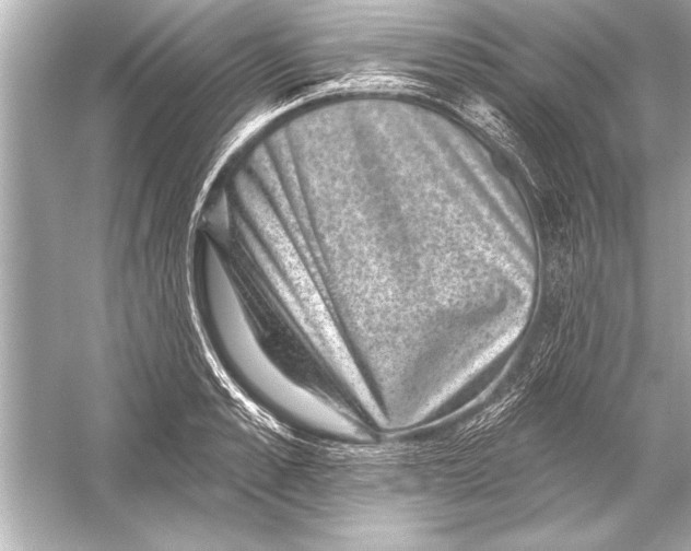 X0000051890989200507222011