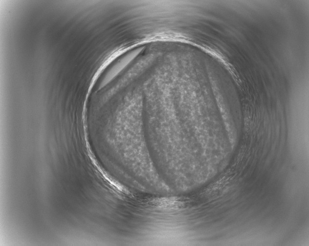 X0000051890990200507222011