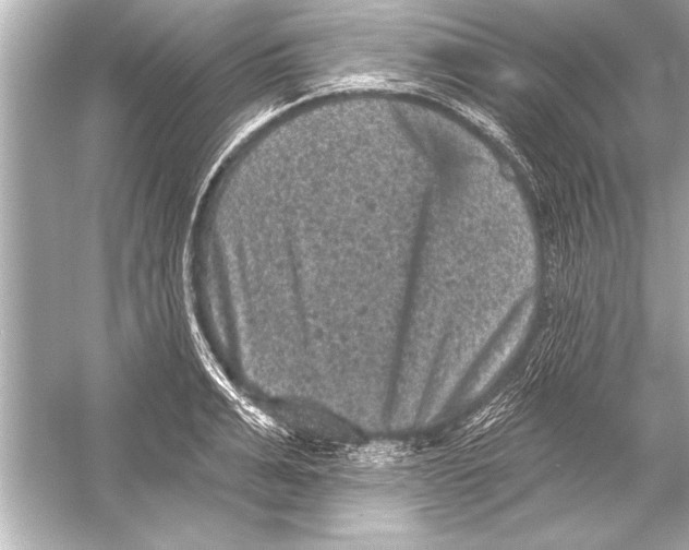 X0000051890991200507222011