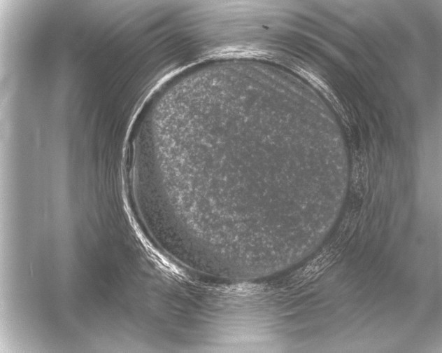 X0000051890992200507222011